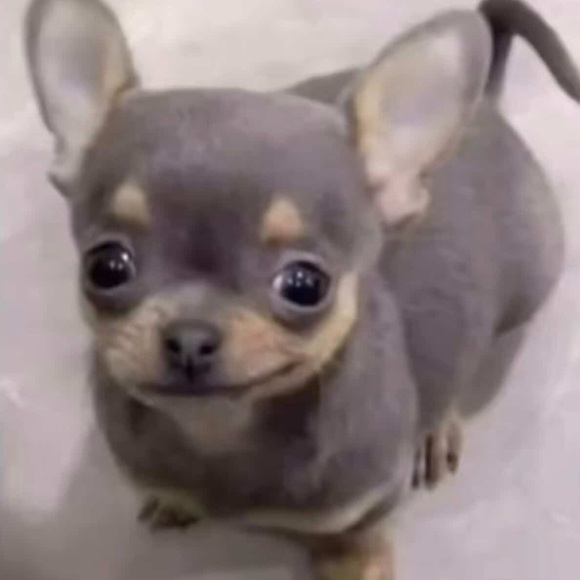 lilkeydat